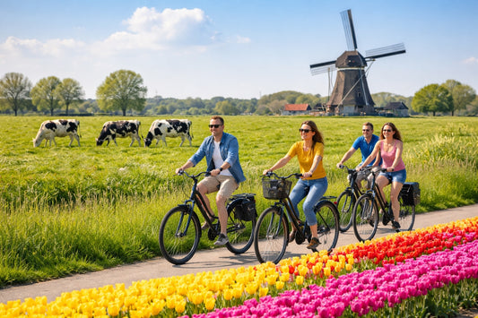 Private bike tour Amsterdam to tulip fields (57pp)