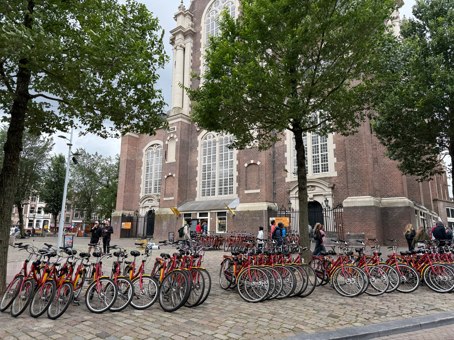 Private bike tour Amsterdam (2 or 3 Hours) (36,50pp)