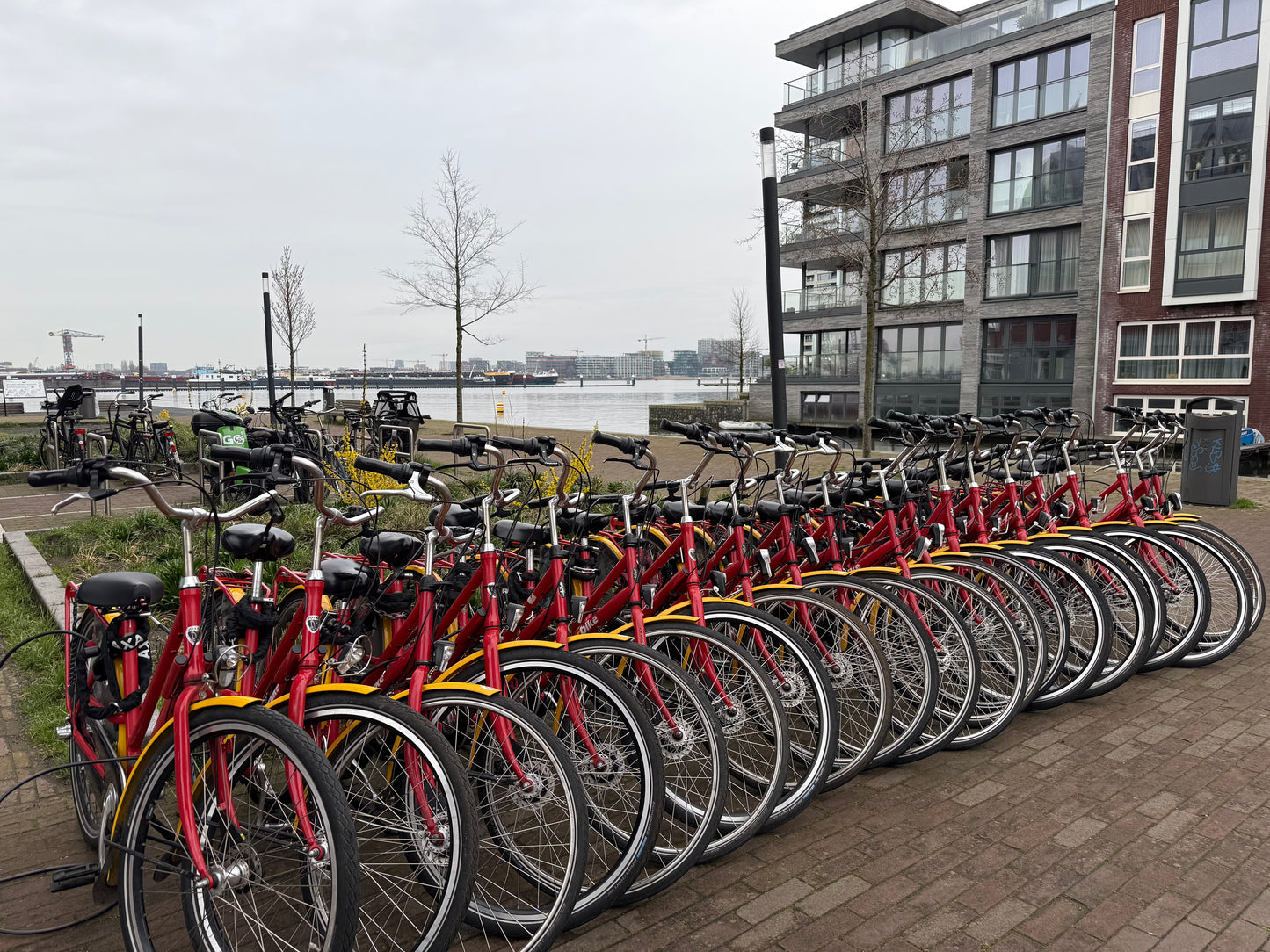 Bike rental with delivery in Amsterdam