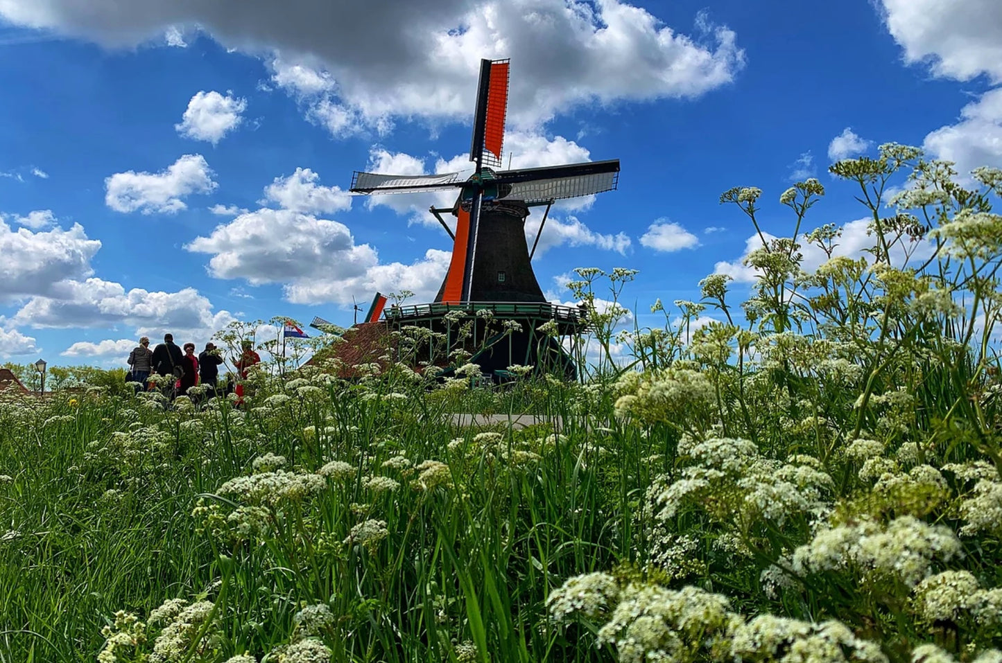 Private Amsterdam Countryside Bike Tour: Windmill, Villages & Dutch Pancakes 10 p