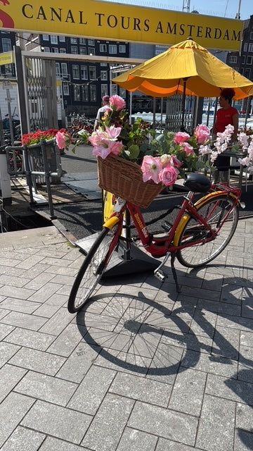 Amsterdam City Bike Hire - Central locations + Luggage Storage