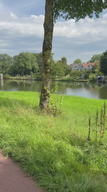 Private countryside bike tour Amsterdam – Dutch villages, windmills & pancakes