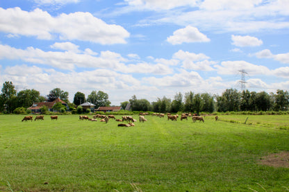 Amsterdam E-bike countryside tour – windmill, cheese farm