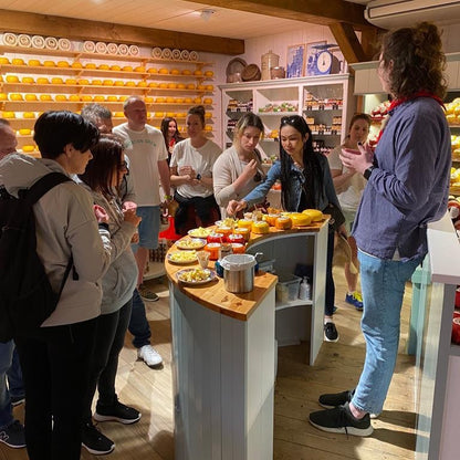 Amsterdam E-bike countryside tour – windmill, cheese farm